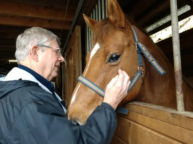 Rescue & Shelter Thunder Mountain Farms Equine Rescue Kent