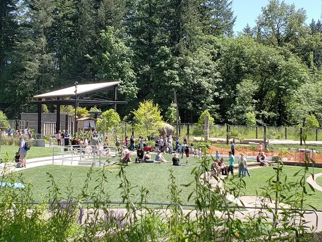 Dog Park Washington Park Portland