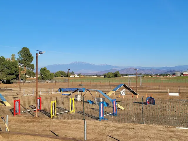 Dog breeder Menifee Dog Sports Murrieta
