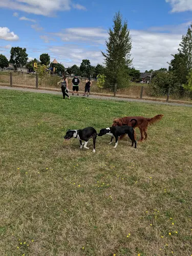 Dog Park Candlelight Park Eugene