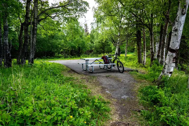 Dog Park Coastal Trail - Elderberry Park Anchorage
