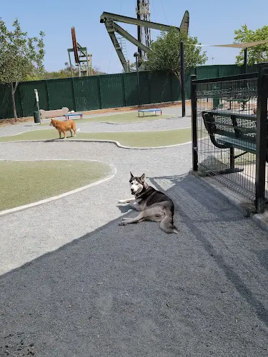 Dog Park Signal Hill Dog Park Downey