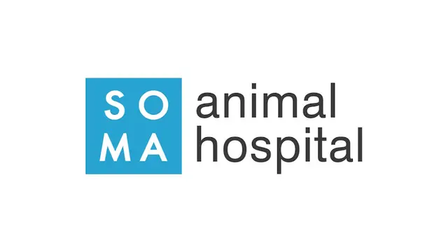 Pet vet SoMa Animal Hospital San Francisco