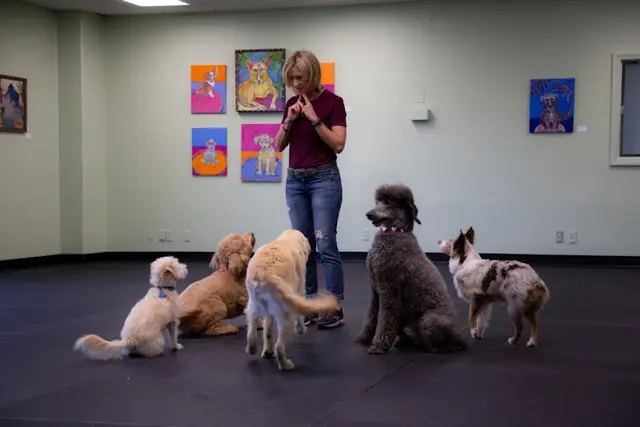 Dog day care center Canine Learning Centers Carlsbad