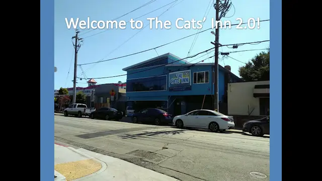 Pet vet The Cats' Inn San Mateo