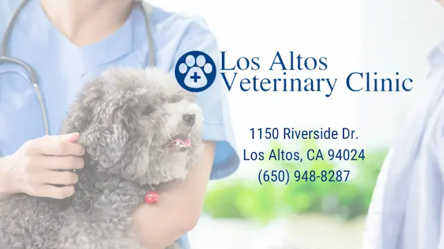 Pet vet Los Altos Veterinary Clinic Sunnyvale