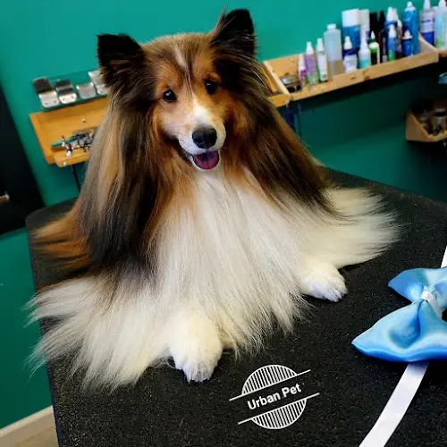 Dog Grooming Urban Pet Chula Vista