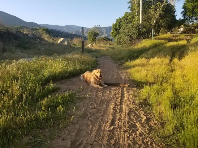 Dog Park Ventura River Preserve - Old Baldwin Trailhead Ventura