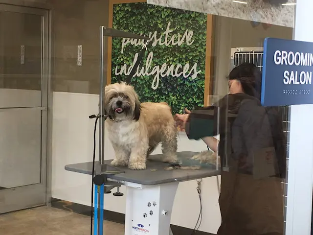 Rescue & Shelter Petco Torrance