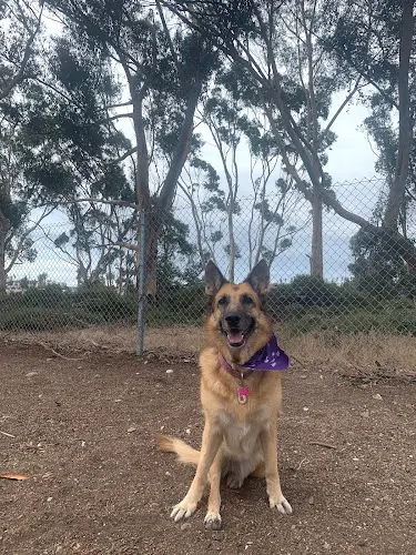 Dog Park Kenmore Terrace Mini-Park San Diego