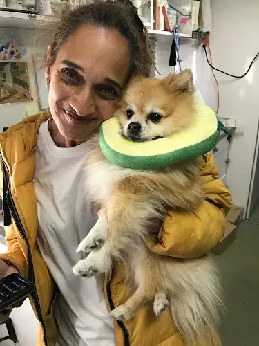 Pet vet Amazing Small Animal Practice Carson