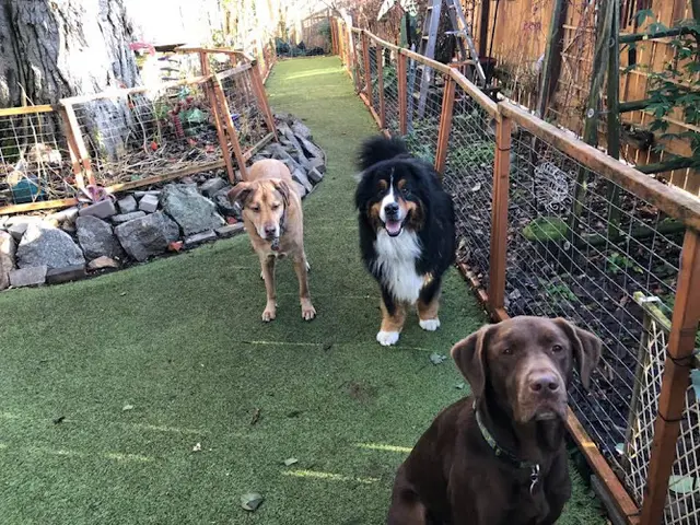 Dog breeder Personal & Pet Concierge LLC Federal Way