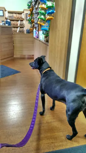 Pet boarding service Hawthorne Veterinary Clinic Portland
