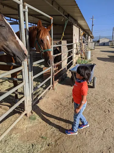 Pet boarding service Stepp Stables Oceanside