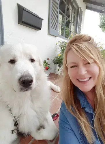 Pet vet Northridge Pet Hospital Simi Valley