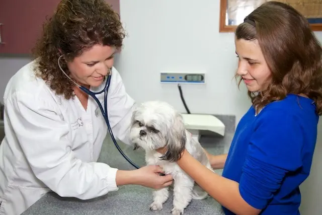 Pet vet Madera Veterinary Center Fresno