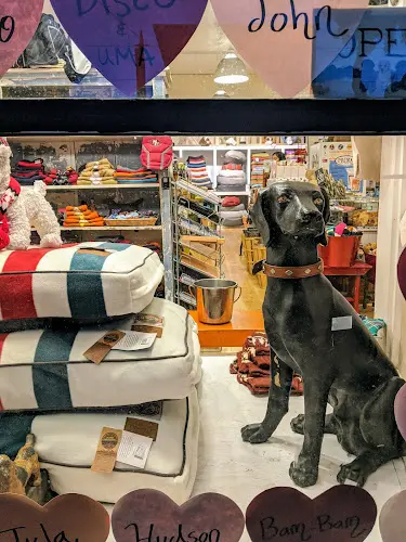 Pet boarding service Noe Valley Pet Company San Francisco