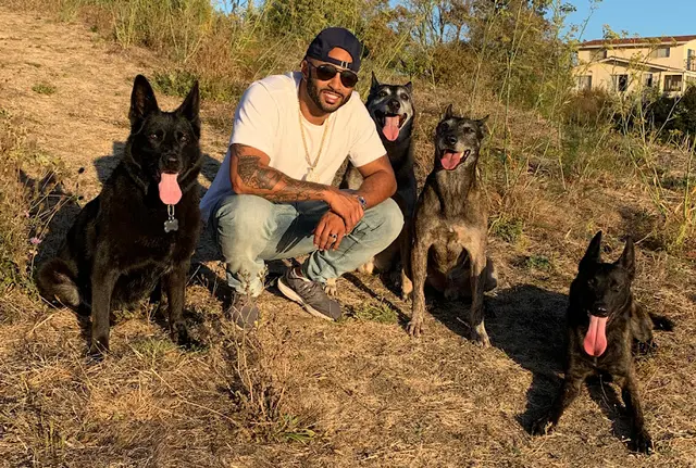 Dog trainer Cali K9 Los Angeles Dog Training Los Angeles