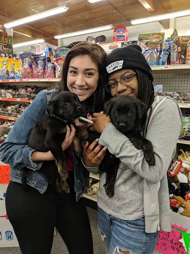 Pet boarding service Mini Pet Mart Eugene