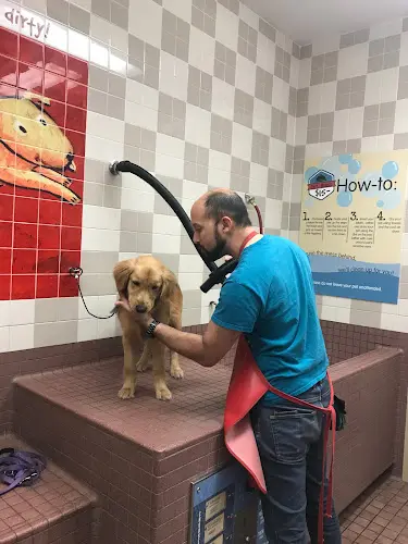 Rescue & Shelter Pet Food Express Richmond