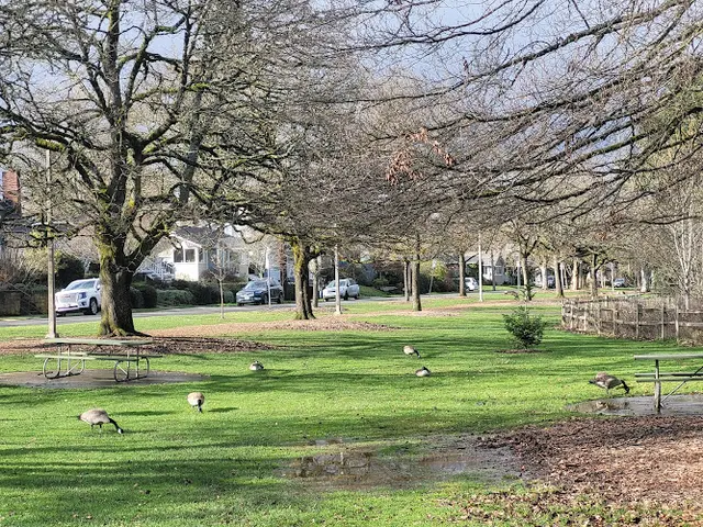 Dog Park Westmoreland Park Nature Playground Portland