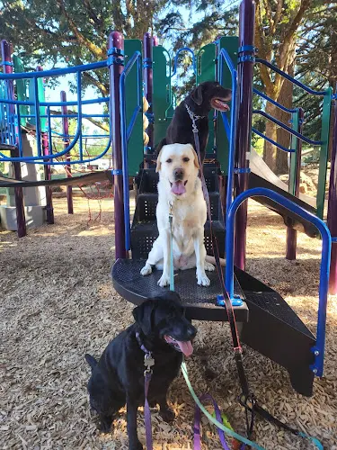 Dog walker Sumpter City Park Salem