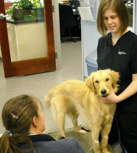 Dog day care center Orchard View Veterinary Center Salem