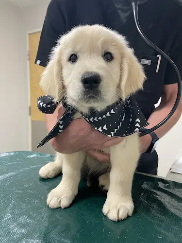 Pet boarding service Bush Animal Hospital Eugene