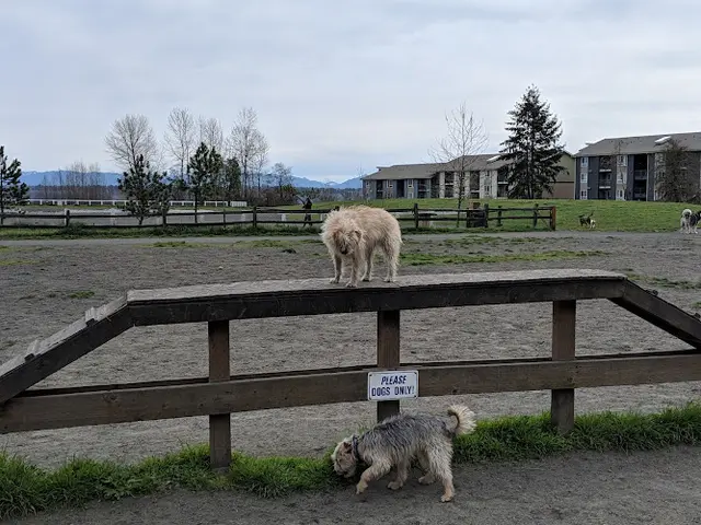 Dog Park Grandview Off-Leash Dog Park Renton