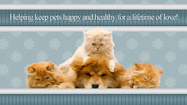 Pet boarding service North End Pet Hospital Tacoma