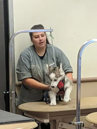 Rescue & Shelter PetSmart Simi Valley