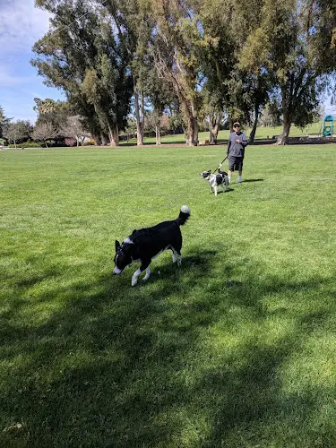 Dog Park Hagemann Park Livermore