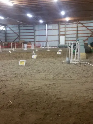Dog trainer Sunara Dog Training Spokane