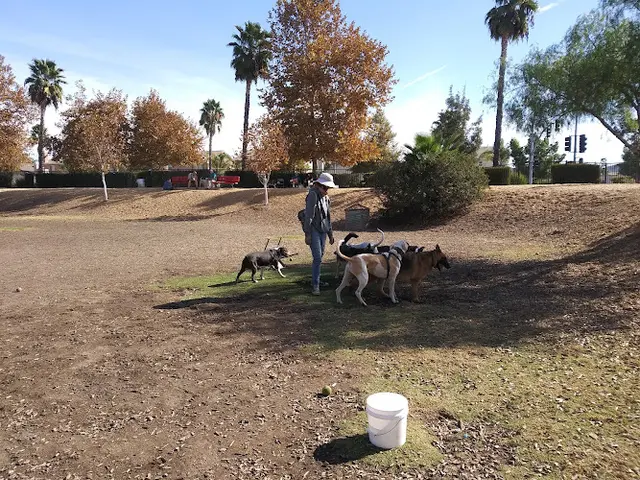 Dog Park Aldergate Dog Park, Valley-Wide Recreation and Park District Temecula