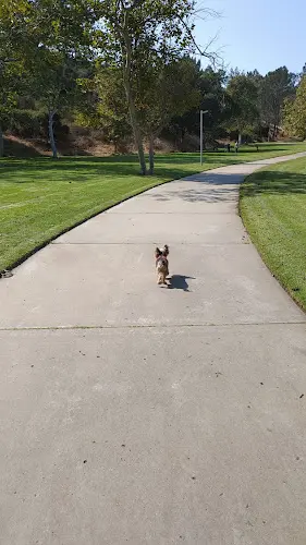 Dog Park UTC Mall dog park San Diego