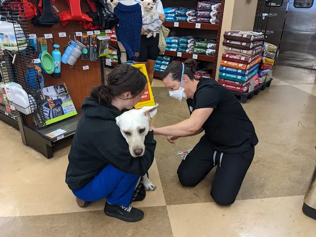 Pet vet Pet Food Express San Francisco