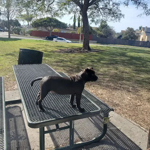 Dog Park Sierra Linda Park Ventura