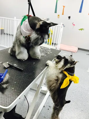 Dog day care center Puppy Pampering Pet Spa Rancho Cucamonga