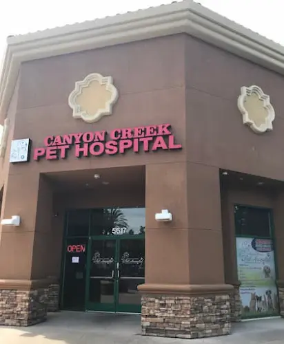 Pet boarding service Canyon Creek Pet Hospital, A Thrive Pet Healthcare Partner San Jose