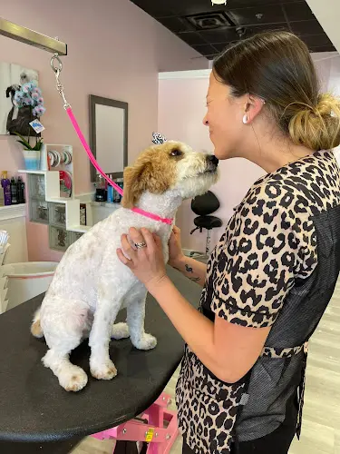 Pet vet Desired Styles Pet Grooming Jurupa Valley
