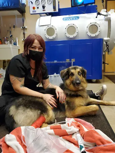 Pet vet Holistic Veterinary Care Berkeley
