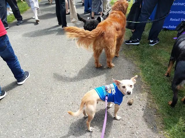 Rescue & Shelter Game Farm Park Federal Way