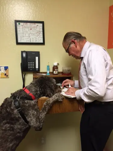 Pet vet Geary Veterinary Hospital Richmond