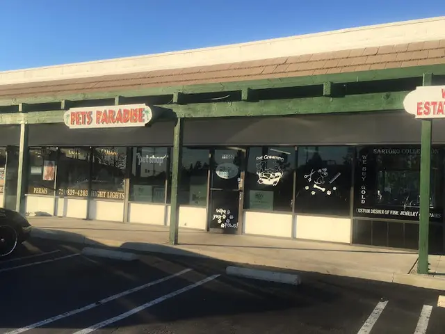 Dog breeder Doggie District and Company Huntington Beach