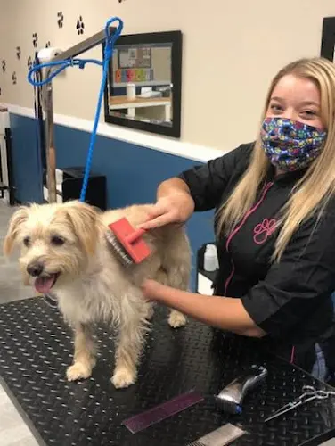 Dog Grooming Styles Pet Grooming Hesperia