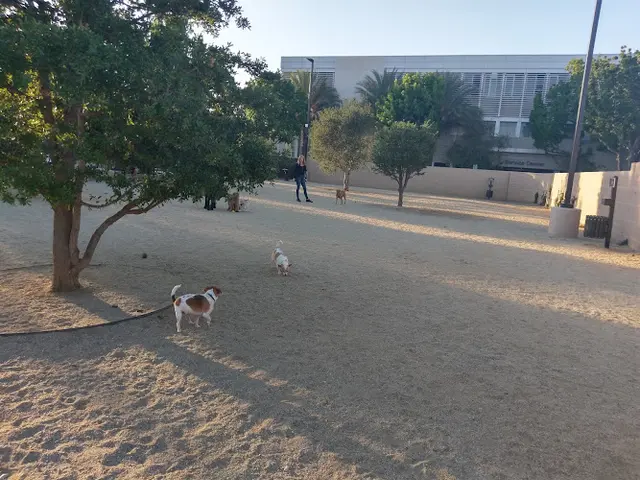 Dog Park Beverly Hills Dog Park Santa Monica