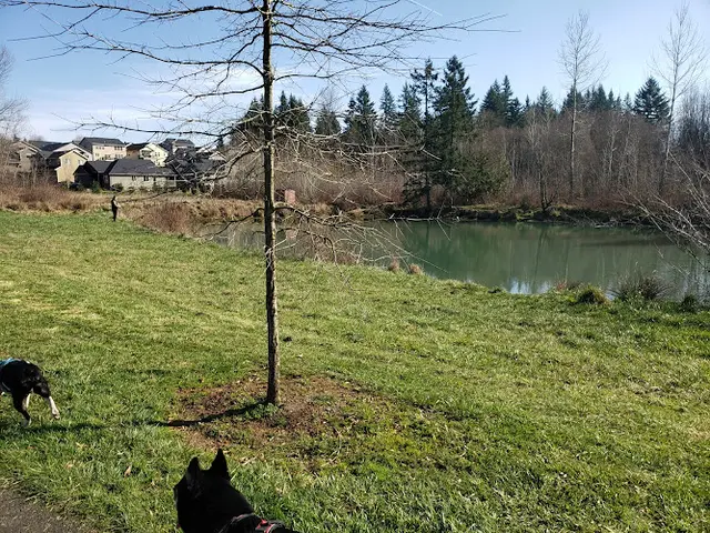 Dog Park Sandy Bluff Park and Dog Park Gresham