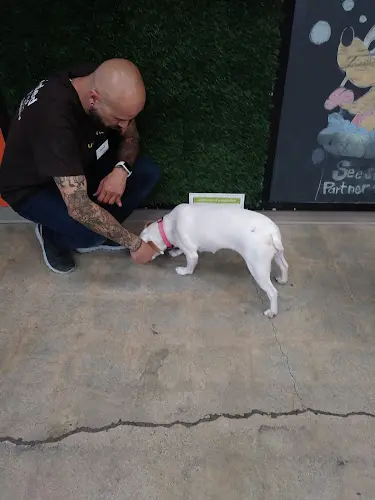 Dog breeder Unleashed Simi Valley