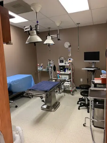 Pet vet VCA Panther Lake Animal Hospital Tacoma