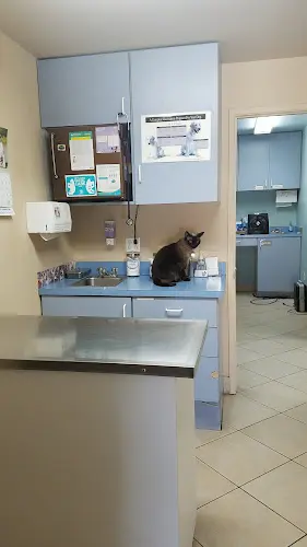 Pet vet Aloro Pet Hospital Burbank